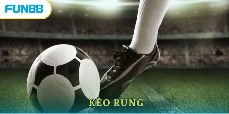 Rung góc - Một trong số loại hình rung phổ biến 