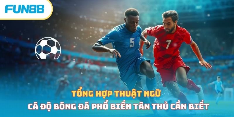 thuat ngu ca do bong da thumb